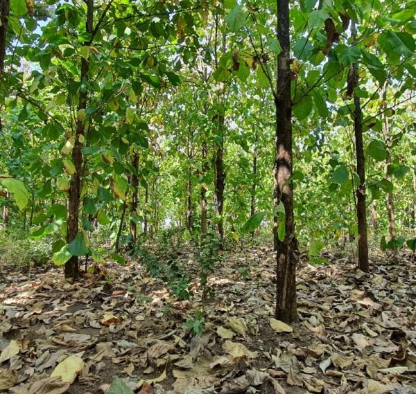 85317ca1-0447-4a04-a22b-8153346522be