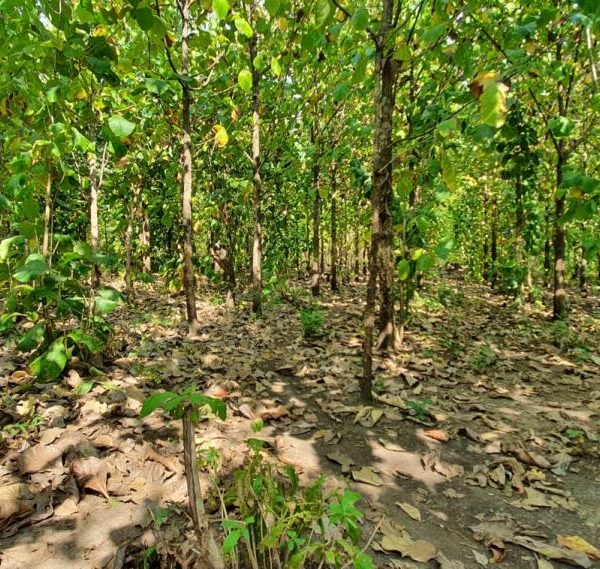 ac749b22-f69e-4dc7-bde4-a681293898ec-1